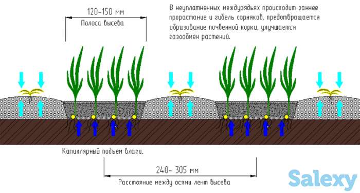 Комбинированный посевной комплекс «Agrator DK 5400M», фотография 7