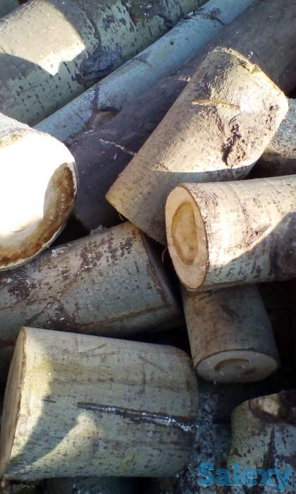 Дрова в мешках, колотые,чурками,хорошие., фотография 1