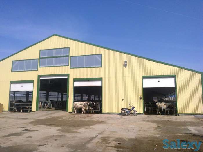 Ангары, автомойки, фермы, склады из металлоконструкций, фотография 9