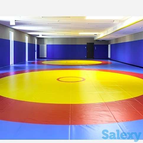 Набор детей в секцию вольной борьбы, фотография 2