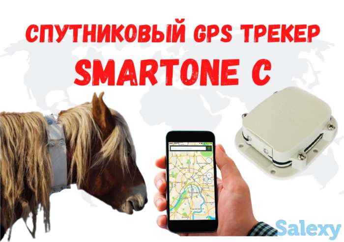 GPS трекер SmartOne C для лошади, верблюды, кобылы и КРС, фотография 3