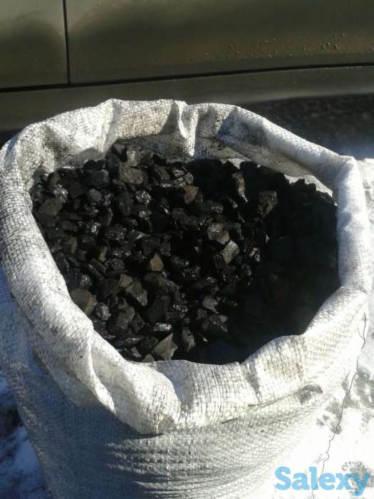 шубаркуль орешек мешками и россыпью, фотография 1