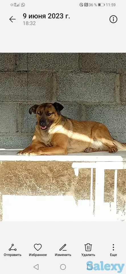 В самые ответственные руки, фотография 2