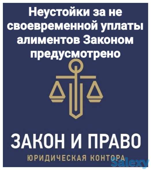 «Неустойка за несвоевременной уплата алиментов Законом предусмотрено», фотография 1