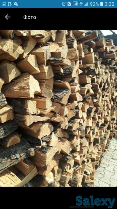 Карагач,Яблоня,Дуб,Берез.Дрова колотые., фотография 1