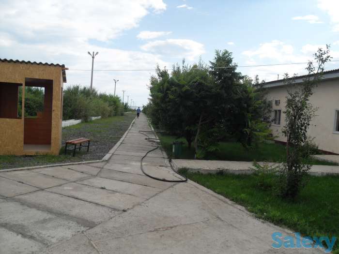 Отдых на озере Алаколь, фотография 2