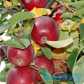 Сульфат Калия в наличии и под заказ, фотография 4