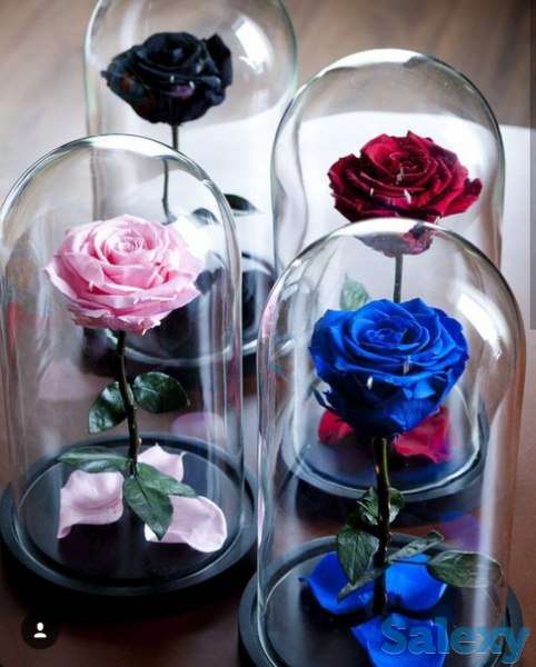 Роза в колбе!, фотография 3