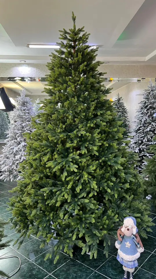 Ёлки в аренду  Ёлки в прокат, фотография 1