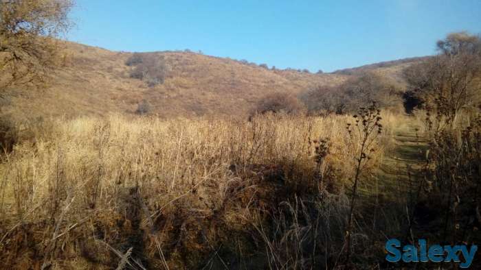 продам земельный участок 1.5 га к/х в Талгаре, район МТФ №3 вверх по Интернациональной, фотография 5