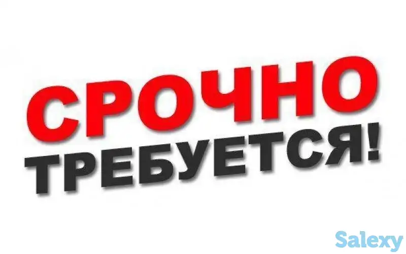 Требуется землеустроитель, фотография 1