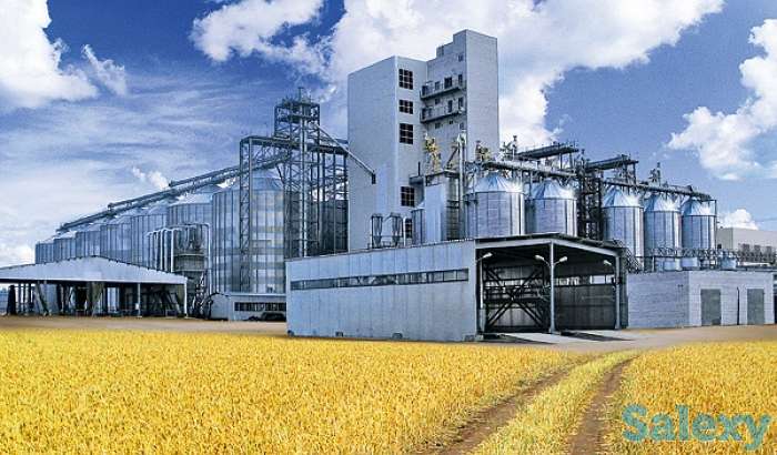 Закуп зерна, ячменя, пшеницы, фотография 1