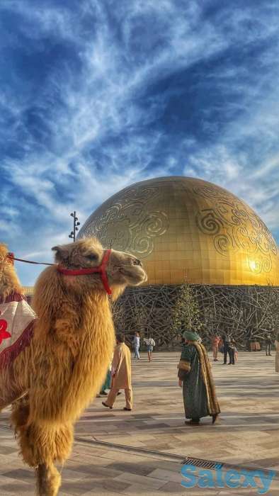 Туры по Туркестанской области., фотография 10