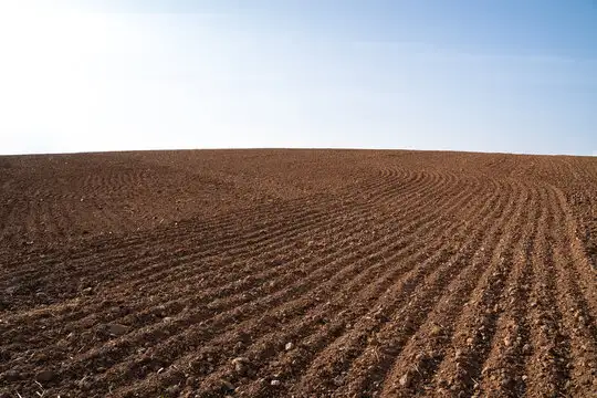 Пашня сельскохозяйственного назначения, Бухаржырауский Каракудук, фотография 1