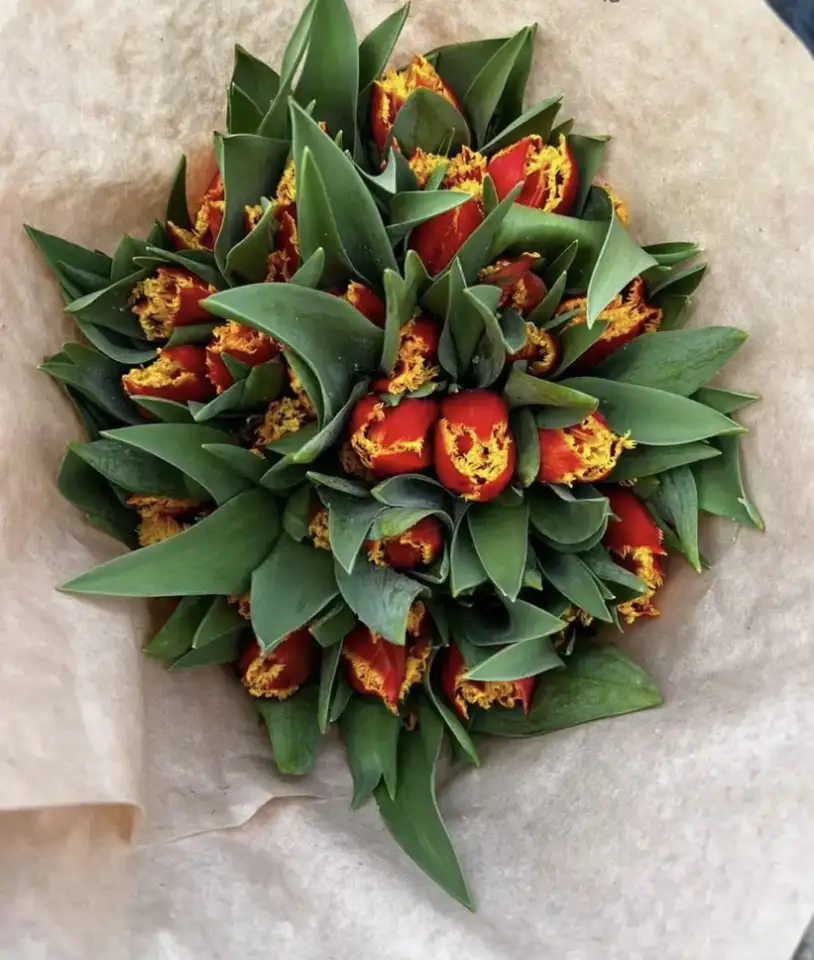 Тюльпаны оптом и в розницу к 8 марта, фотография 1