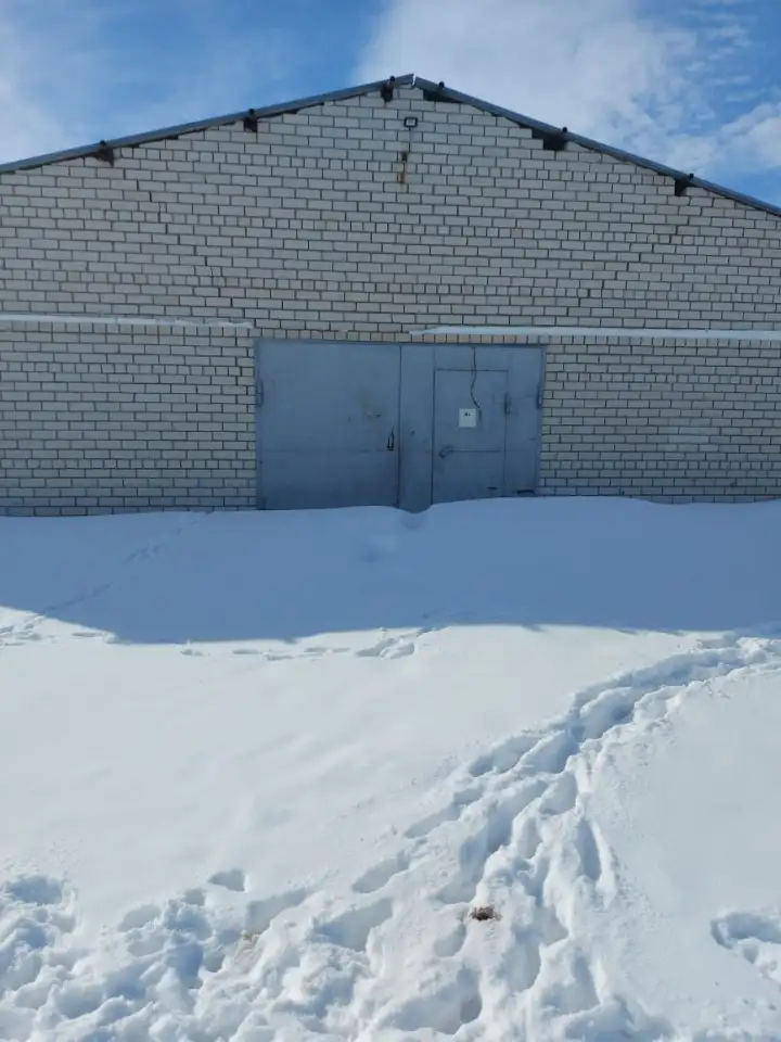 Сельское хозяйство на 3600 гектар земли в Павлодарской Области, фотография 5