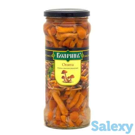 Опята маринованные с/б, ж/б, фотография 3