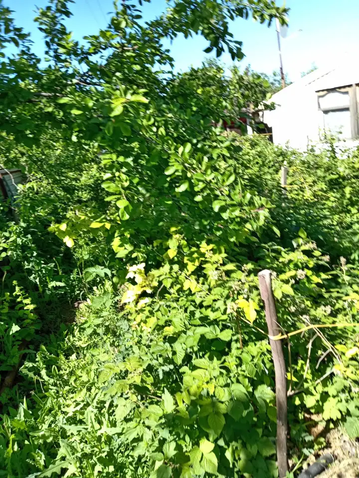 ПРОДАМ ДОМ В ДАЧНОМ КООПЕРАТИВЕ ТАМАРИКС зимний вариант, фотография 3