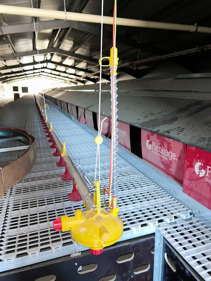 Сельскохозяйственный комплекс - Птицефабрика и теплица., фотография 2