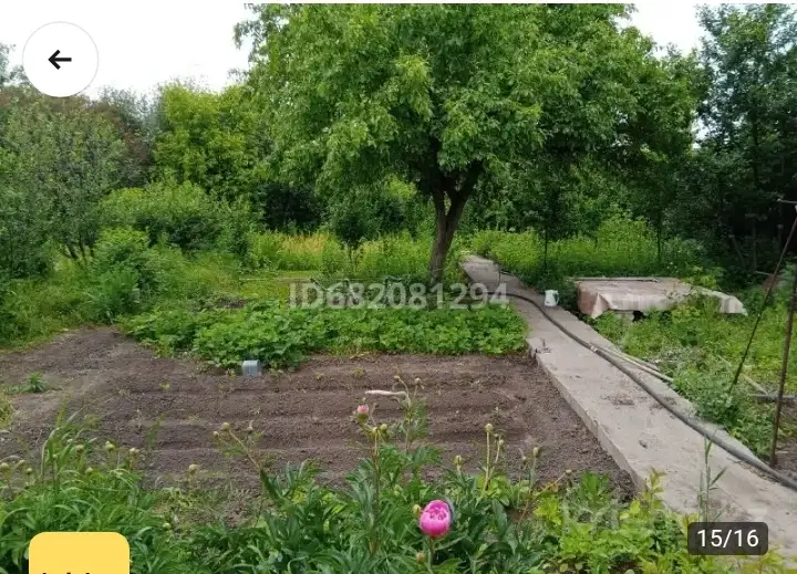 СРОЧНО ПРОДАМ ДАЧУ, СК Мелиоратор, фотография 2