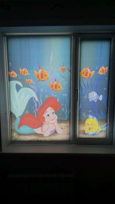 Фотопечать на Ролл-Шторах, фотография 5