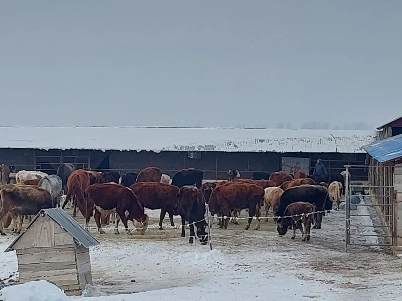 Фазенда, Кольащы, фотография 3