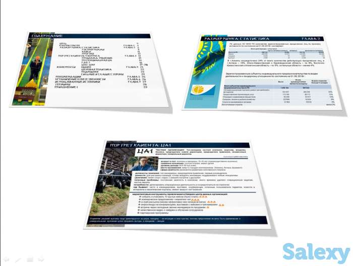 Маркетинговые исследования или анализ бизнеса, фотография 2