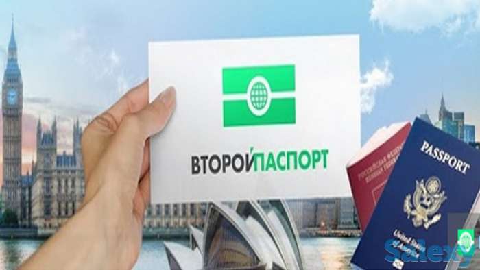 Франшиза компании 