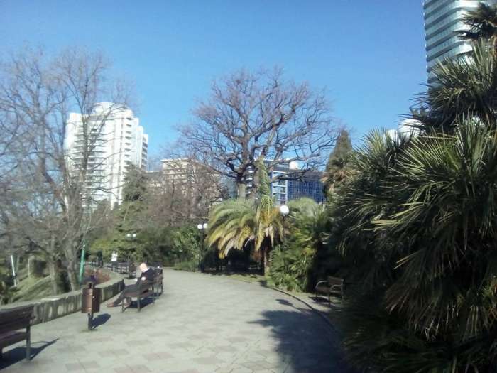 недвижимость в России. Сочи. Красная поляна, Адлер, Сочи. , фотография 5