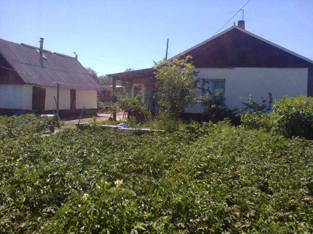 Продам срочно дом, Таврический р-н с Восточное ул Солнечная 23, фотография 2