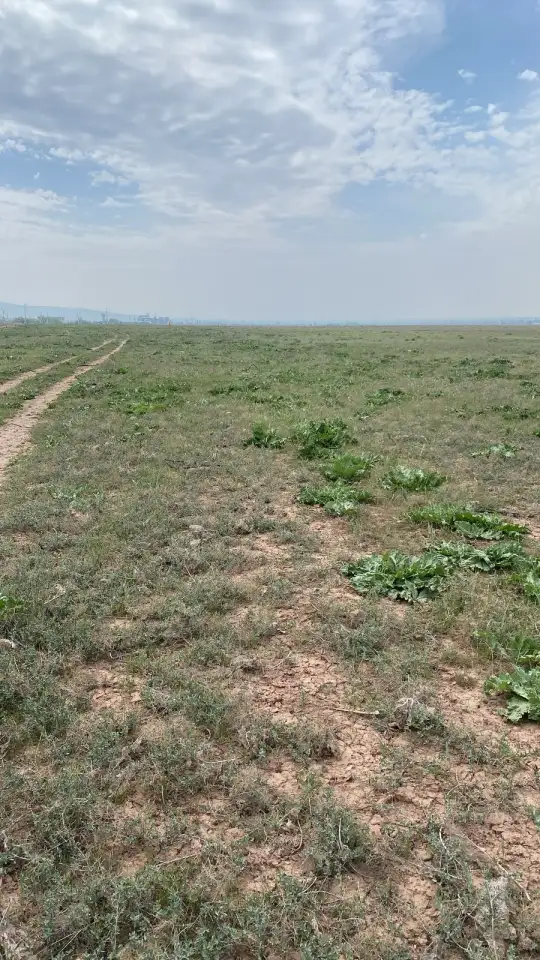 Продаются земельные участки общей площадью 18,34 га, фотография 1