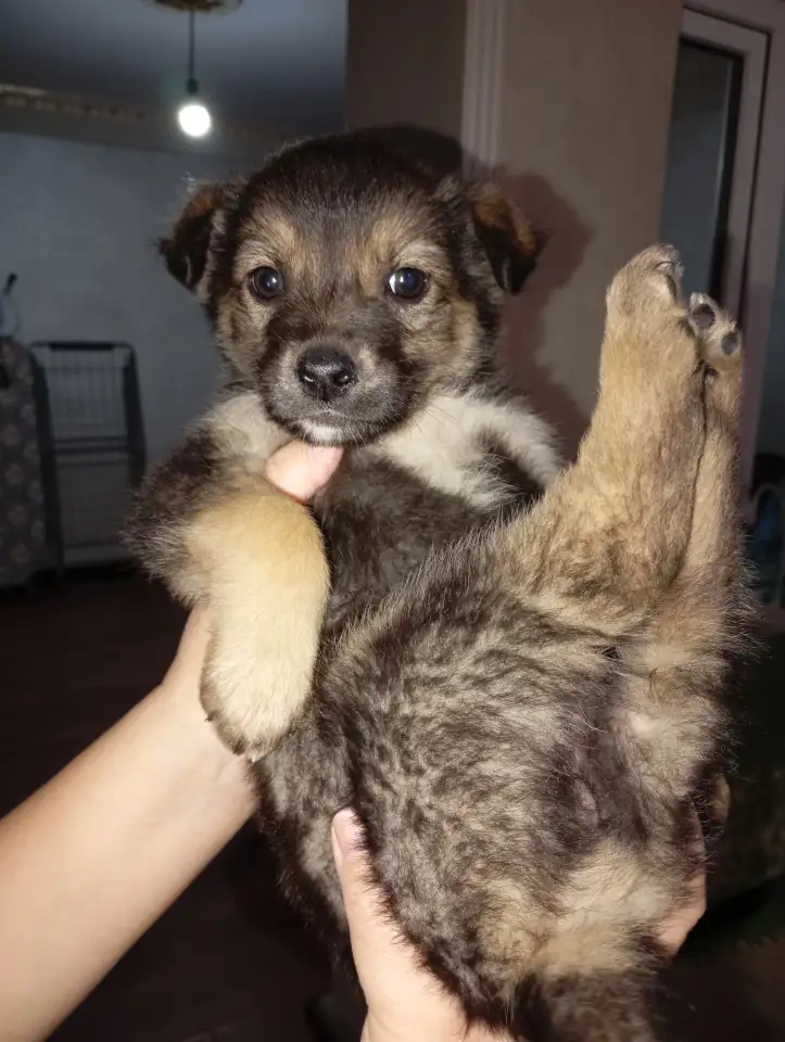 Забери меня к себе, Добрый человек, фотография 1