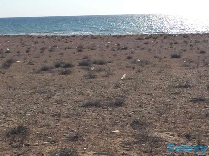 Продам земельный участок на берегу моря,первая линия, Тельман, фотография 3
