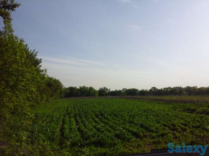 продам 80 соток, карасайский район, долан, фотография 7