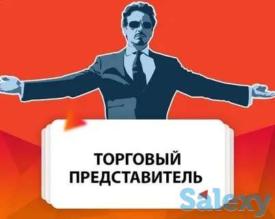 Торговый представитель, фотография 1