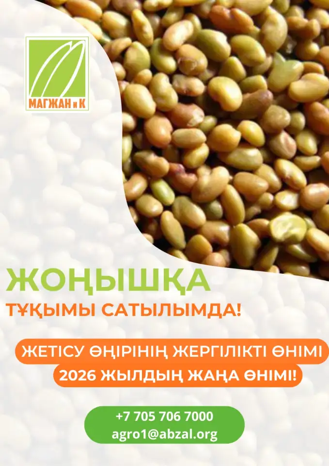 В продаже семена люцерны!, фотография 1