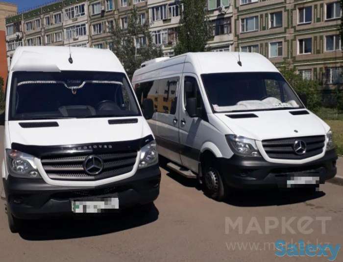 Автобусы, фотография 1