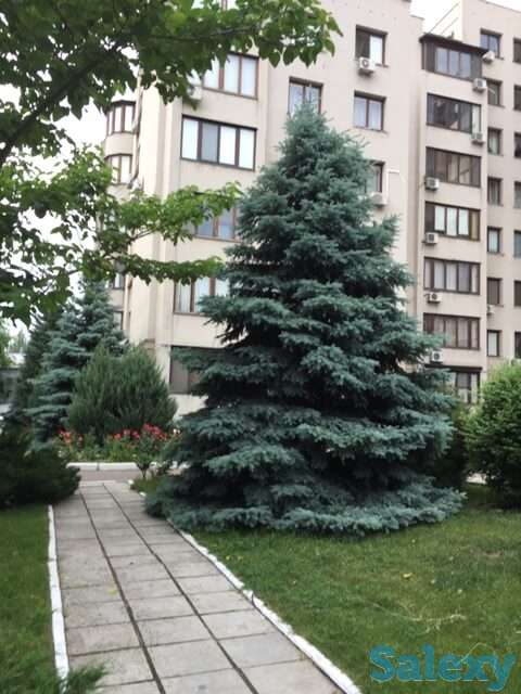 Квартира. Редкое предложение в одном из самых престижных мест Одессы, фотография 10