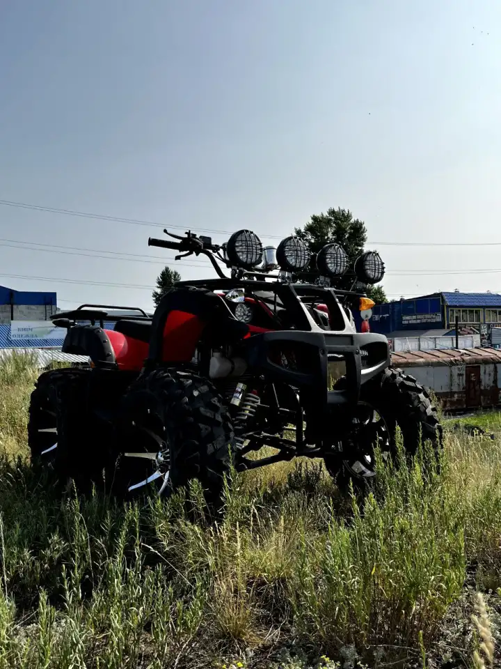 Квадроцикл 250сс на кардане, фотография 8