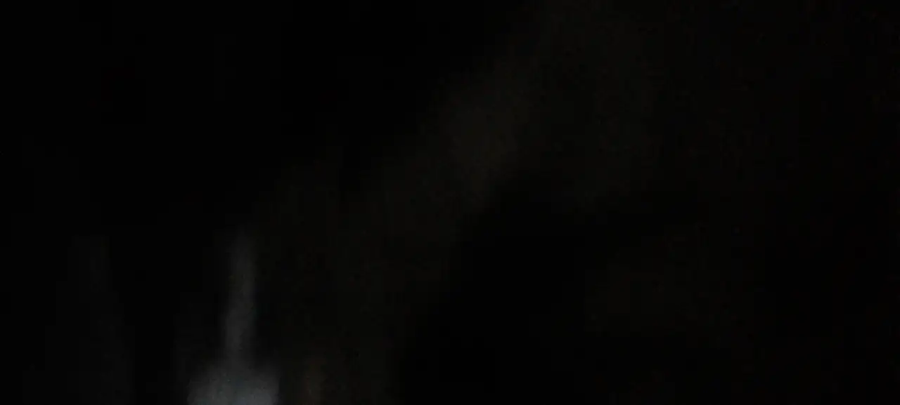 Продам щенка пароды Ламбрадора., фотография 1