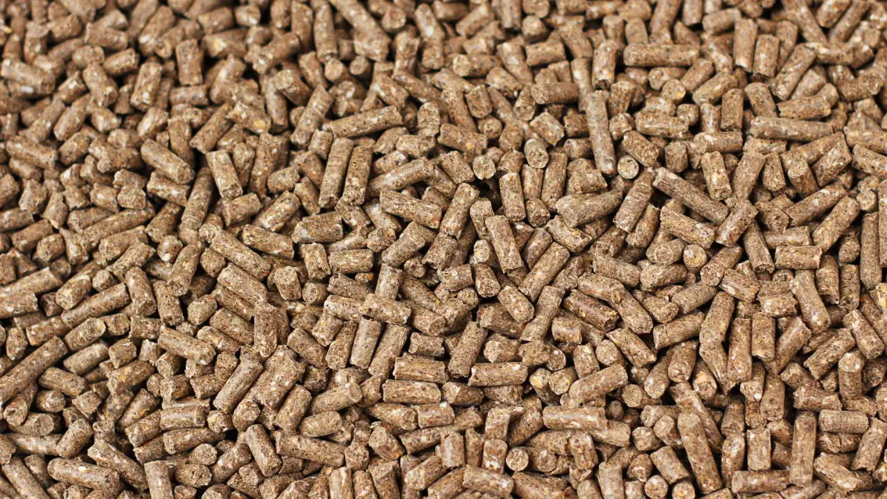 Гранулы из люцерны, фотография 3