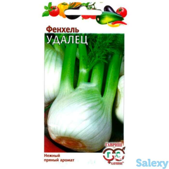Семена Фенхель овощной Удалец 1.0г, фотография 1