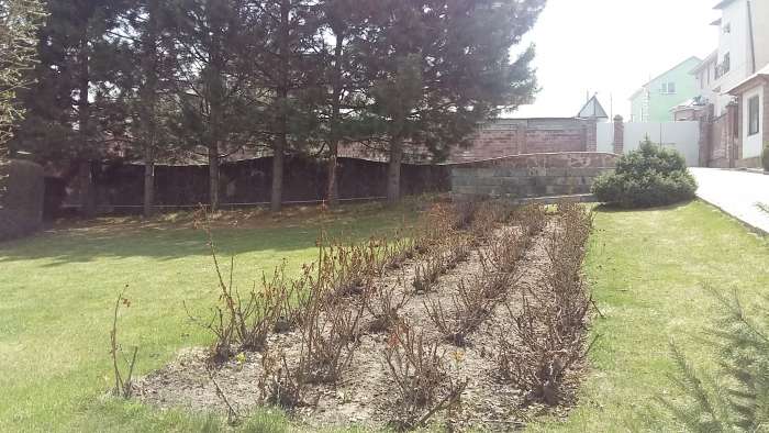 Продам дос, Багоношил, фотография 3