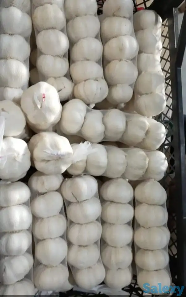 Чеснок, фотография 2