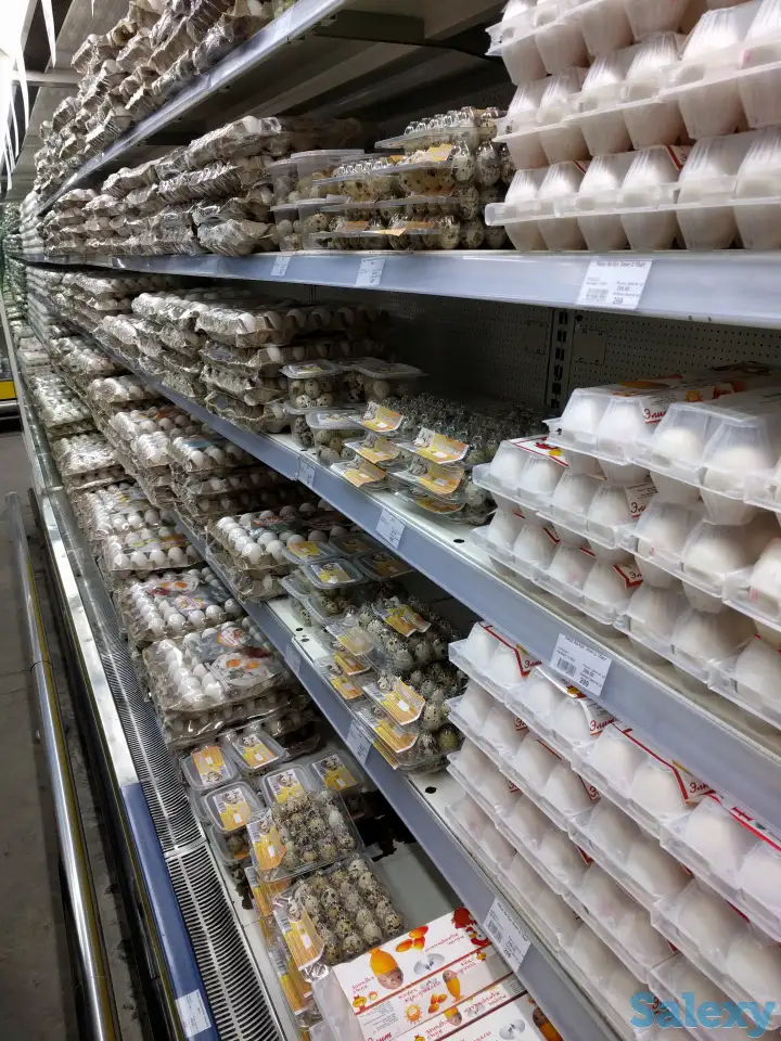 Продам перепелиную ферму, фотография 2