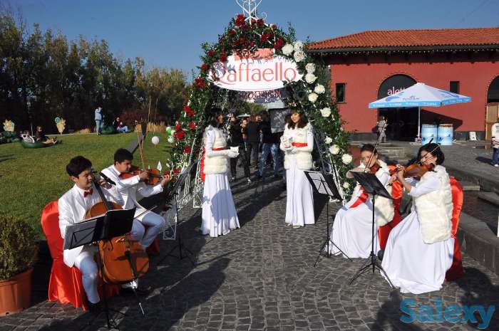 Струнный квартет для вашего мероприятия, фотография 8