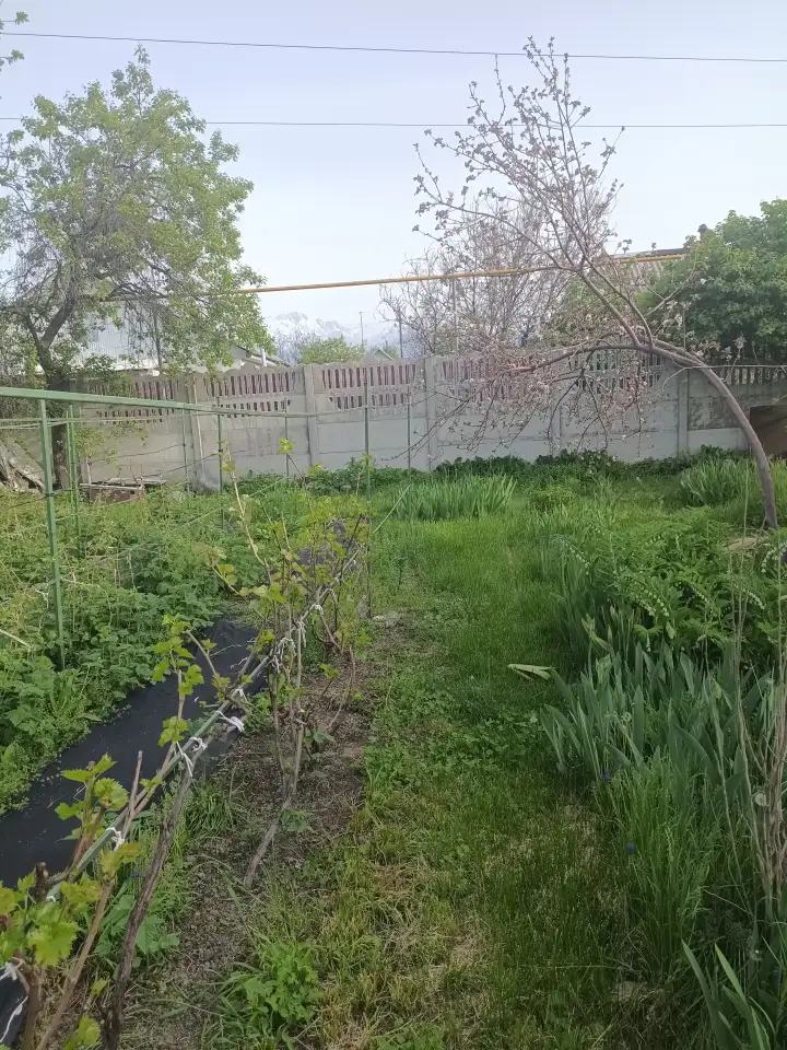 Продам дачу, участок, фотография 2