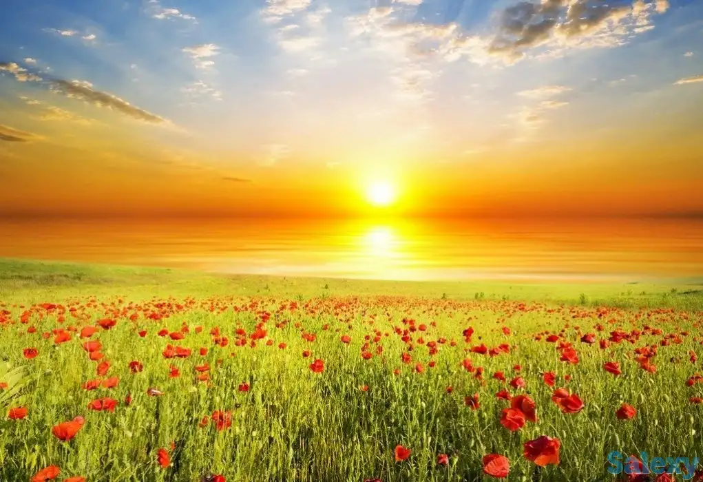 Интересный собеседник. Конфиденциально.Без выходных., фотография 1