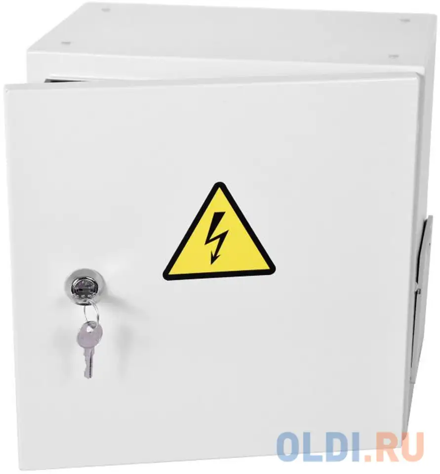 Шкаф эконом уличный всепогодный настенный укомплектованный (в300  ш300  г210),, фотография 1