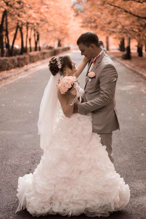 Фото и видеосъемка, фотография 2